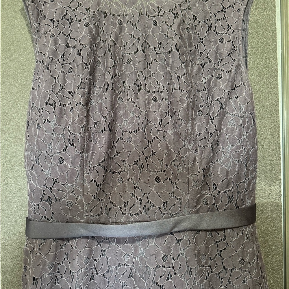 Elegant Lace Sheath Dress in Taupe
